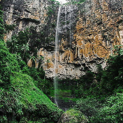 포토 JPG 해외이미지 공원 잎 자연 풍경 사람없음 야외 물 강 폭포 젖음 바위 개울 호주 숲 열대우림 내추럴 해외202004 해외포토 자연요소 식물 공공시설 돌_바위 오세아니아 생태계 파일형식