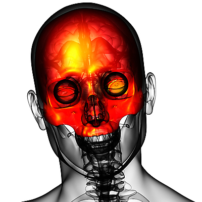 포토 JPG 해외이미지 얼굴 해부 뼈 골격 사람 사람없음 머리 어둠 죽음 턱 해골모형 해외202004 해외포토 의학 신체부위 모형 파일형식