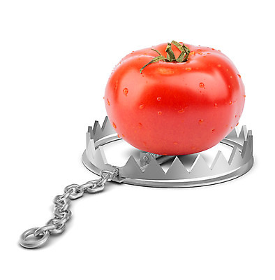 포토 JPG 해외이미지 토마토 채소 근접촬영 사람없음 물 금속 신선 잡기 틈 떨어짐 철 흰배경 날카로움 올가미 고립 철강 해외202004 해외포토 자연요소 뷰포인트 백그라운드 컨셉 모션 재질 흰색 파일형식