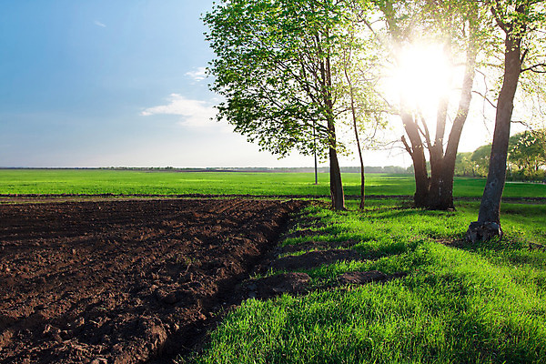 포토 JPG 해외이미지 나무 식물 구름 계절 공원 백그라운드 밭 농업 자연 하늘 날씨 풍경 잔디 초원 사람없음 야외 목재 초록색 여름 파란색 빛 컬러풀 햇빛 태양 환경 맑음 침묵 봄 흰색 전원 시골 숲 땅 장면 내추럴 수평선 해외202004 해외포토 자연요소 공공시설 산업 컬러 재료 소리 전기에너지 생태계 파일형식