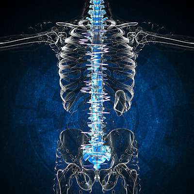 포토 JPG 해외이미지 뼈 골격 사람없음 환자 질병 척추 몸통 방사선 요통 해외202004 해외포토 의학 신체부위 허리통증 파일형식