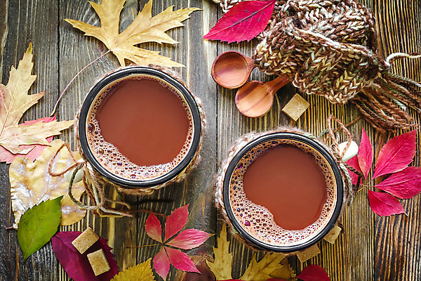 포토 JPG 해외이미지 커피 음료 음식 잎 탁자 디저트 따뜻함 사람없음 컵 갈색 초콜릿 숟가락 거품 머그컵 가을 뜨거움 액체 달콤 코코아 따뜻한음료 카카오 맛있는 해외202004 해외포토 식물 식기 계절 컬러 가구 수저 맛 파일형식