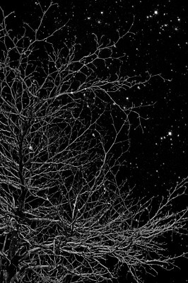 포토 JPG 해외이미지 나무 공원 선 여행 백그라운드 밭 자연 하늘 추상 휴가 풍경 사람없음 야외 가로 초록색 여름 파란색 빛 햇빛 일출 환경 계곡 검은색 숲 아스팔트 방향 전국 직진 해외202004 해외포토 식물 계절 공공시설 도로 컬러 무늬 농업 태양 노을 생태계 파일형식