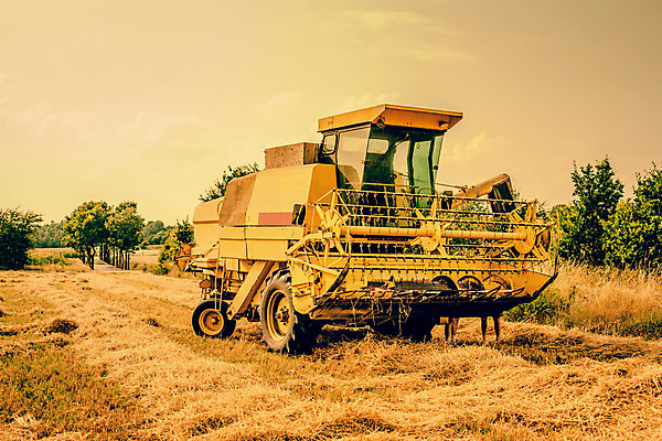 포토 JPG 해외이미지 농업 자연 건조 씨앗 풍경 사람없음 야외 농작물 농장 농경지 수확 추수 가을 볏짚 농부 밀 밀짚 논밭 밭일 호밀 해외202004 해외포토 식물 직업 계절 산업 밭 곡류 논 짚 생태계 파일형식