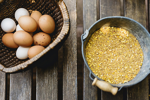 포토 JPG 해외이미지 음식 건강 사람없음 갈색 계란 신선 상품 양동이 유기농 날것 내추럴 해외202004 해외포토 웰빙 컬러 알 파일형식