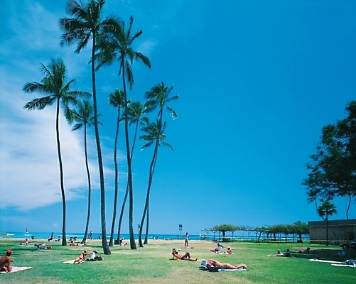 포토 JPG 주간 나무 식물 구름 사계절 계절 바다 백그라운드 자연 하늘 사람 풍경 여러명 해변 야외 여름 야자수 휴양지 대서 국내포토 자연요소 다수 장소 절기 생태계 파일형식