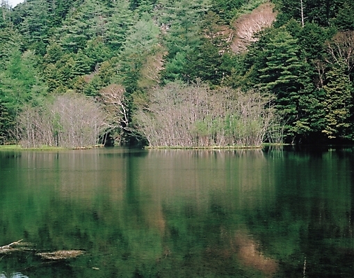 포토 JPG 주간 나무 식물 호수 백그라운드 자연 산 여러그루 풍경 사람없음 야외 강 국내포토 자연요소 다수 생태계 파일형식