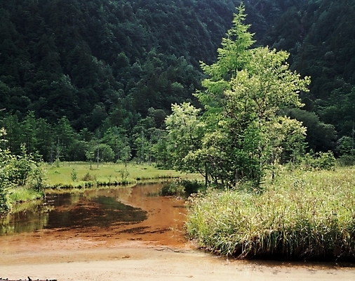 포토 JPG 주간 나무 식물 백그라운드 산 여러그루 풍경 사람없음 야외 골짜기 개울 국내포토 자연요소 다수 자연 강 파일형식