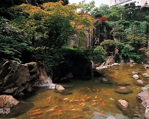 포토 JPG 주간 백그라운드 산 어류 풍경 사람없음 야외 계곡 연못 잉어 인공폭포 국내포토 자연요소 수중동물 폭포 파일형식