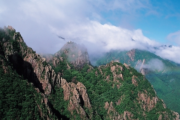 포토 JPG 주간 구름 사계절 계절 배경화면 백그라운드 자연 하늘 산 풍경 사람없음 야외 여름 국내포토 자연요소 생태계 파일형식