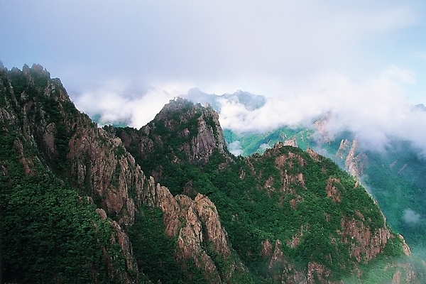 포토 JPG 주간 구름 사계절 계절 백그라운드 자연 하늘 산 풍경 사람없음 야외 여름 국내포토 자연요소 생태계 파일형식