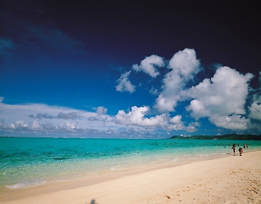 포토 JPG 주간 구름 사계절 계절 바다 백그라운드 자연 하늘 사람 풍경 해변 야외 여름 모래사장 국내포토 자연요소 생태계 파일형식
