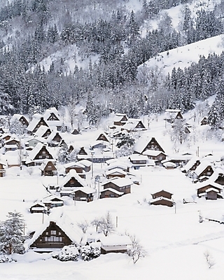 포토 JPG 주간 나무 시설물 사계절 계절 현대건축 건축 배경화면 백그라운드 설경 겨울 자연현상 자연 산 주택 풍경 사람없음 야외 마을 눈 대설 국내포토 자연요소 식물 건축물 날씨 건물 절기 생태계 파일형식