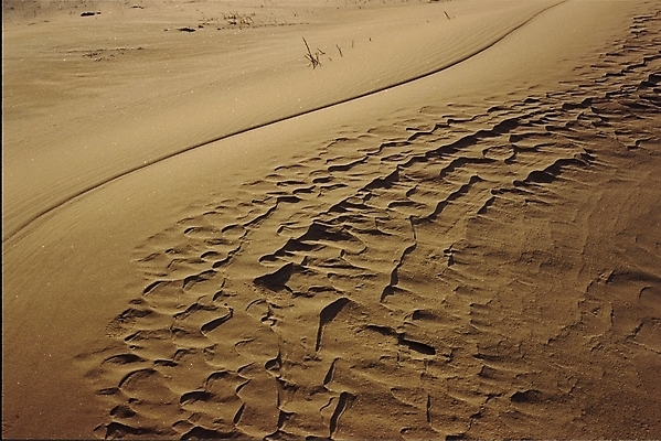 포토 JPG 주간 자연 풍경 사람없음 야외 사막 국내포토 자연요소 생태계 파일형식