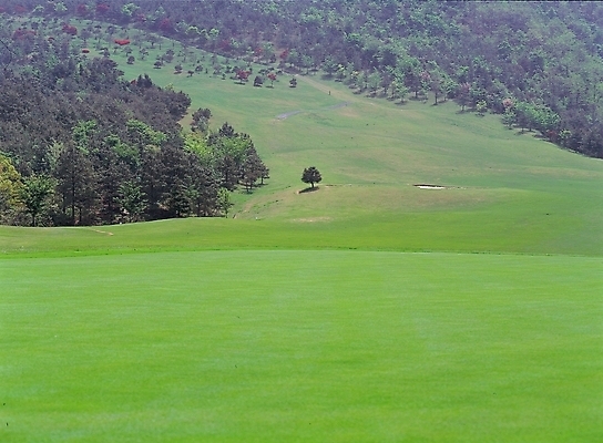 포토 JPG 주간 시설물 현대건축 건축 골프 스포츠시설 골프장 산 풍경 초원 사람없음 야외 초록색 레포츠 구기 국내포토 자연요소 건축물 스포츠 컬러 레저 시설 파일형식