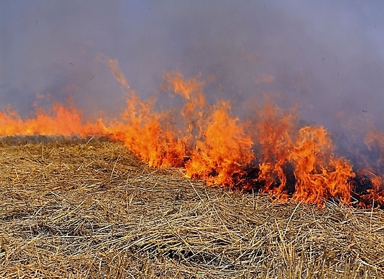 포토 JPG 주간 한국문화 한국전통 농업 불 한국 논 풍경 사람없음 야외 전통놀이 농촌 시골 논두렁 쥐불놀이 국내포토 자연요소 동양문화 전통 산업 아시아 놀이 파일형식