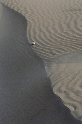 포토 JPG 주간 자연 풍경 사람없음 야외 사막 국내포토 자연요소 생태계 파일형식