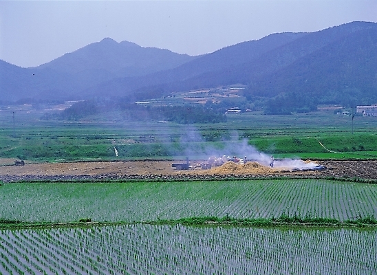 포토 JPG 주간 농업 자연 산 논 풍경 여러명 야외 농촌 시골 연기 국내포토 자연요소 산업 다수 사람 생태계 파일형식