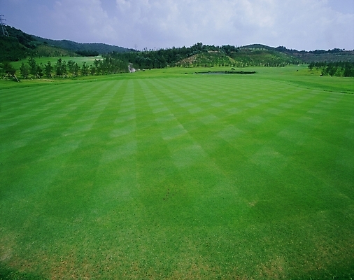 포토 JPG 주간 시설물 현대건축 건축 골프 스포츠시설 골프장 산 풍경 초원 사람없음 야외 초록색 레포츠 구기 국내포토 자연요소 건축물 스포츠 컬러 레저 시설 파일형식
