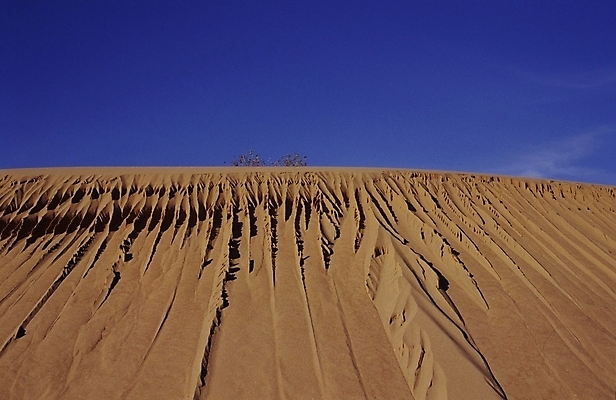 포토 JPG 주간 자연 풍경 사람없음 야외 사막 국내포토 자연요소 생태계 파일형식