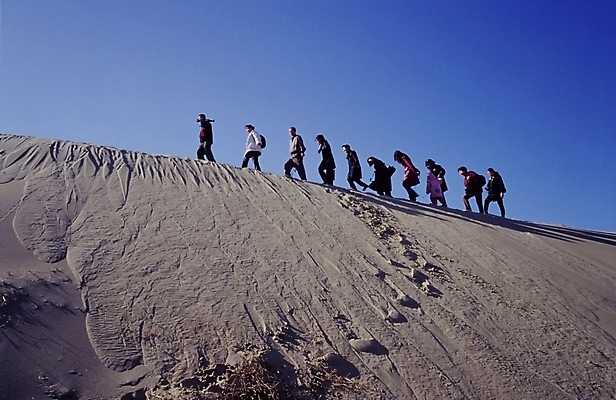 포토 JPG 주간 여자 남자 자연 사람 풍경 여러명 야외 사막 국내포토 자연요소 다수 생태계 파일형식