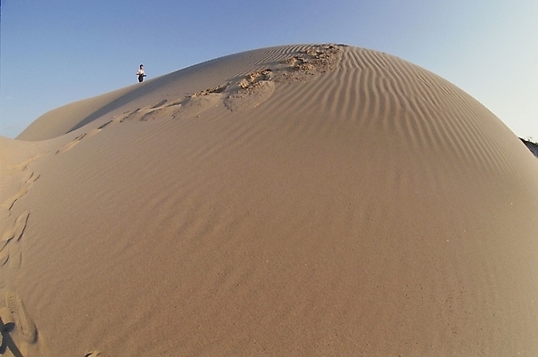 포토 JPG 주간 자연 한명 풍경 야외 사막 국내포토 자연요소 1 사람 생태계 파일형식