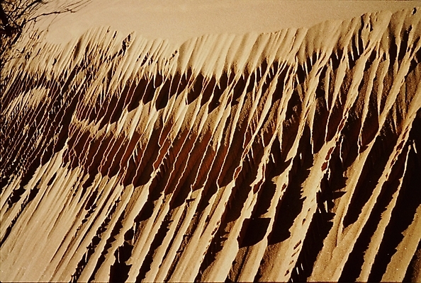 포토 JPG 주간 자연 풍경 사람없음 야외 사막 국내포토 자연요소 생태계 파일형식