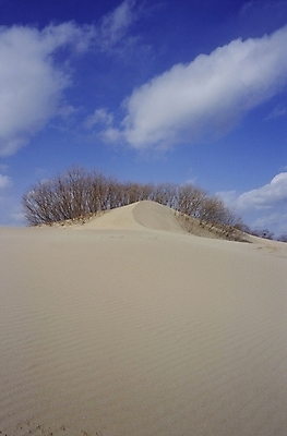 포토 JPG 주간 자연 풍경 사람없음 야외 사막 국내포토 자연요소 생태계 파일형식