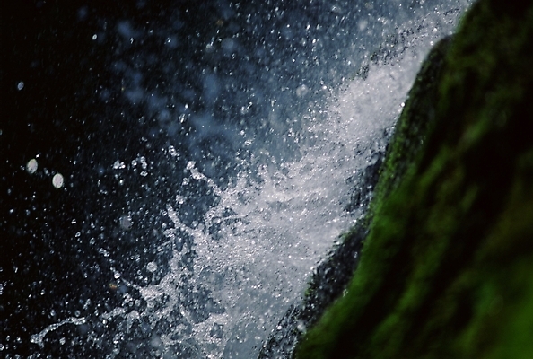 포토 JPG 주간 자연 풍경 근접촬영 사람없음 야외 물 물방울 국내포토 자연요소 뷰포인트 생태계 파일형식