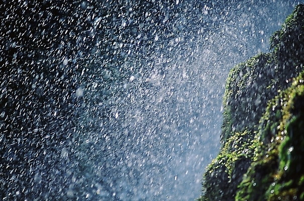 포토 JPG 주간 자연 풍경 근접촬영 사람없음 야외 물 물방울 국내포토 자연요소 뷰포인트 생태계 파일형식