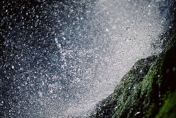 포토 JPG 주간 자연 풍경 근접촬영 사람없음 야외 물 물방울 국내포토 자연요소 뷰포인트 생태계 파일형식