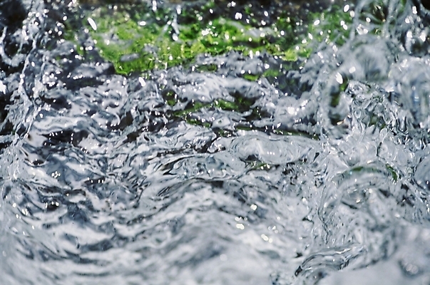 포토 JPG 주간 자연 풍경 근접촬영 사람없음 야외 물 물방울 국내포토 자연요소 뷰포인트 생태계 파일형식