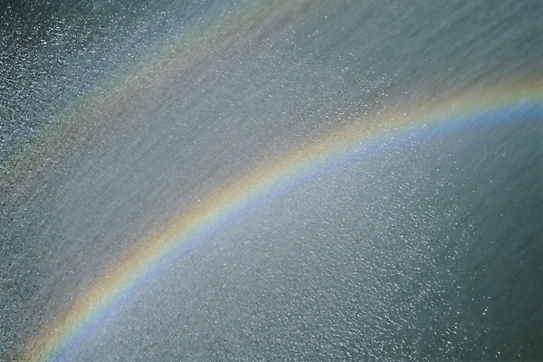 포토 JPG 주간 무지개 자연현상 자연 근접촬영 사람없음 야외 물 물방울 무지개색 국내포토 자연요소 뷰포인트 컬러풀 생태계 파일형식