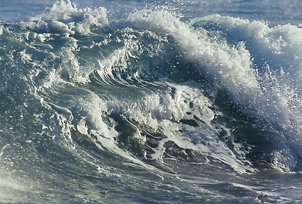 포토 JPG 파도 바다 자연 풍경 사람없음 국내포토 생태계 파일형식