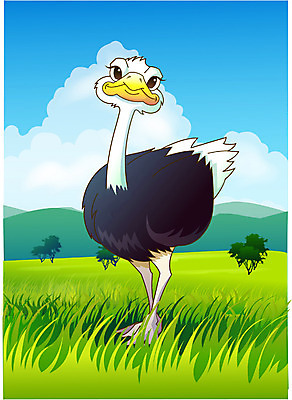 EPS 주간 동물 척추동물 한마리 야생동물 일러스트 아프리카 자연 조류 동물원 초원 사람없음 야외 사파리 타조 국내일러스트 자연요소 1 나라 생태계 파일형식 벡터