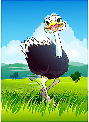 EPS 주간 동물 척추동물 한마리 야생동물 일러스트 아프리카 자연 조류 동물원 초원 사람없음 야외 사파리 타조 국내일러스트 자연요소 1 나라 생태계 파일형식 벡터