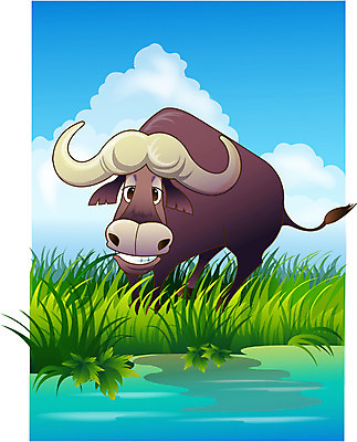 EPS 주간 동물 척추동물 한마리 육지동물 야생동물 일러스트 포유류 아프리카 자연 동물원 사람없음 야외 소 버팔로 사파리 국내일러스트 자연요소 1 나라 생태계 파일형식 벡터