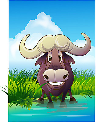 EPS 주간 동물 척추동물 한마리 육지동물 야생동물 일러스트 포유류 아프리카 자연 동물원 사람없음 야외 소 버팔로 사파리 국내일러스트 자연요소 1 나라 생태계 파일형식 벡터