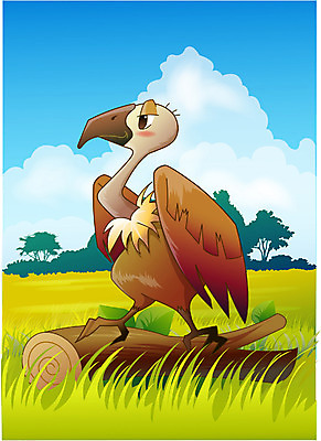 EPS 주간 동물 척추동물 한마리 야생동물 일러스트 아프리카 자연 조류 동물원 초원 사람없음 야외 사파리 독수리 대머리독수리 사바나 국내일러스트 자연요소 1 나라 생태계 파일형식 벡터