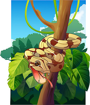 EPS 주간 동물 척추동물 한마리 야생동물 일러스트 파충류 자연 동물원 사람없음 야외 숲 열대우림 보아뱀 국내일러스트 자연요소 1 뱀 생태계 파일형식 벡터