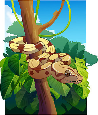 EPS 주간 동물 척추동물 한마리 야생동물 일러스트 파충류 자연 동물원 사람없음 야외 숲 열대우림 보아뱀 국내일러스트 자연요소 1 뱀 생태계 파일형식 벡터