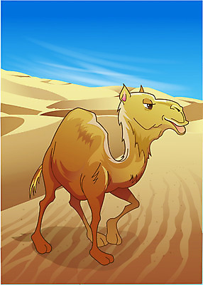 EPS 주간 동물 척추동물 한마리 육지동물 야생동물 모래 일러스트 포유류 동물원 사람없음 야외 사막 낙타 국내일러스트 자연요소 1 파일형식 벡터