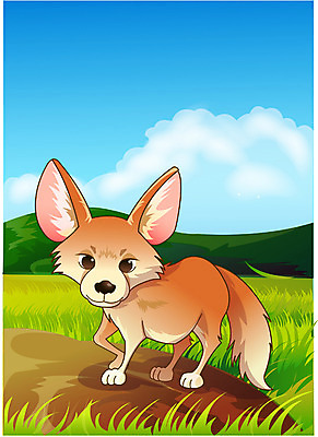 EPS 주간 동물 척추동물 한마리 육지동물 야생동물 일러스트 포유류 동물원 초원 사람없음 야외 사파리 여우 사막여우 페넥여우 국내일러스트 자연요소 1 파일형식 벡터