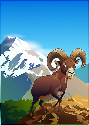 EPS 주간 동물 척추동물 한마리 육지동물 야생동물 일러스트 포유류 산 동물원 사람없음 야외 양 산양 히말라야 국내일러스트 자연요소 1 멸종위기동물 파일형식 벡터 산맥