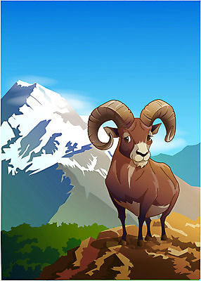 EPS 주간 동물 척추동물 한마리 육지동물 야생동물 일러스트 포유류 산 동물원 사람없음 야외 양 산양 히말라야 국내일러스트 자연요소 1 멸종위기동물 파일형식 벡터 산맥