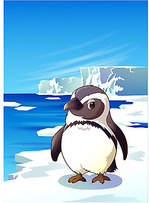 EPS 주간 동물 척추동물 한마리 계절 야생동물 외국문화 겨울 일러스트 조류 동물원 사람없음 야외 남극 극지방 펭귄 빙산 마젤란펭귄 국내일러스트 자연요소 1 문화 지역 파일형식 벡터