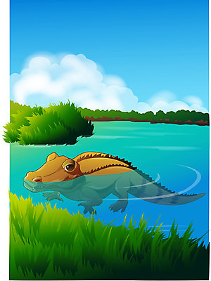 EPS 주간 동물 척추동물 한마리 야생동물 일러스트 파충류 아프리카 동물원 사람없음 야외 습지 열대우림 악어 국내일러스트 자연요소 1 나라 숲 파일형식 벡터