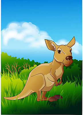 EPS 주간 동물 척추동물 한마리 육지동물 야생동물 동물캐릭터 일러스트 포유류 동물원 초원 사람없음 야외 호주 숲 캥거루캐릭터 일러캐릭터 자연요소 캐릭터 1 오세아니아 캥거루 파일형식 벡터