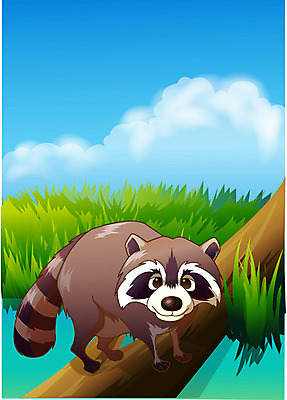 EPS 주간 동물 척추동물 한마리 육지동물 야생동물 일러스트 포유류 동물원 초원 사람없음 야외 숲 열대우림 너구리 국내일러스트 자연요소 1 파일형식 벡터