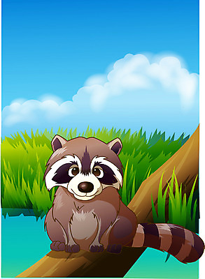 EPS 주간 동물 척추동물 한마리 육지동물 야생동물 일러스트 포유류 동물원 초원 사람없음 야외 숲 열대우림 너구리 국내일러스트 자연요소 1 파일형식 벡터